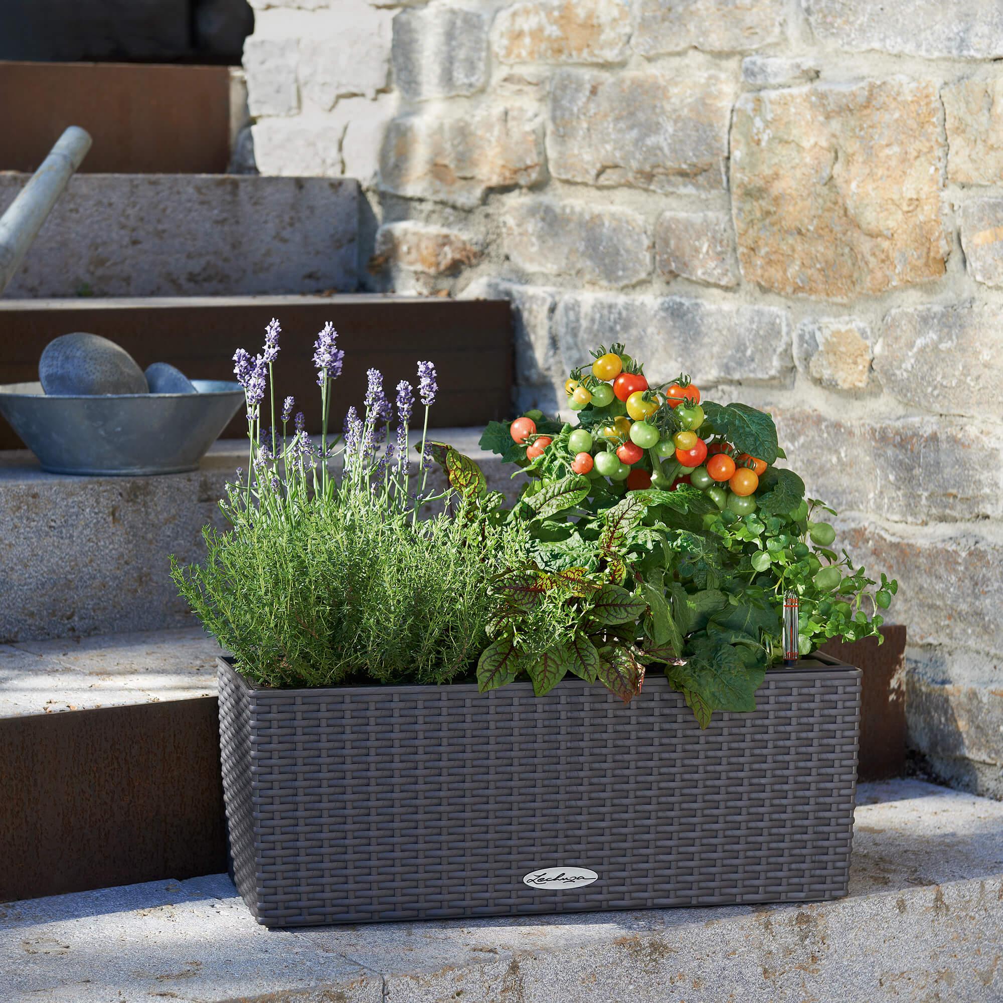 le_balconera-cottage50_product_addi_03